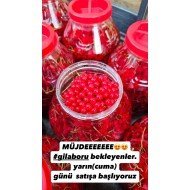 Gilaboru 5lt