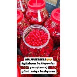Gilaboru 5lt